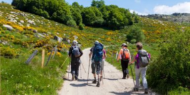 Le Mont Lozère (marche nordique)