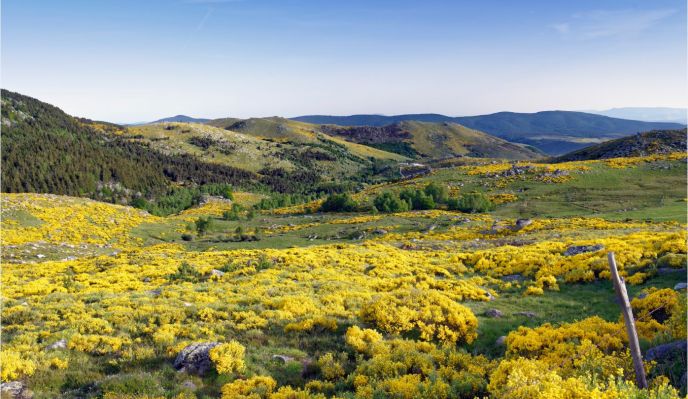 La Lozère aux mille facettes