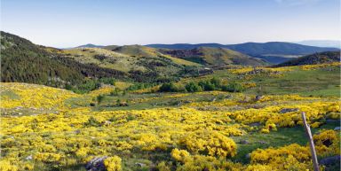 La Lozère aux mille facettes