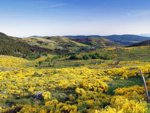 La Lozère aux mille facettes