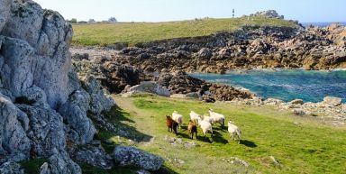 09- Portsall - Brest : chemin des phares et Ouessant