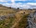 Aubrac, haut plateau sauvage