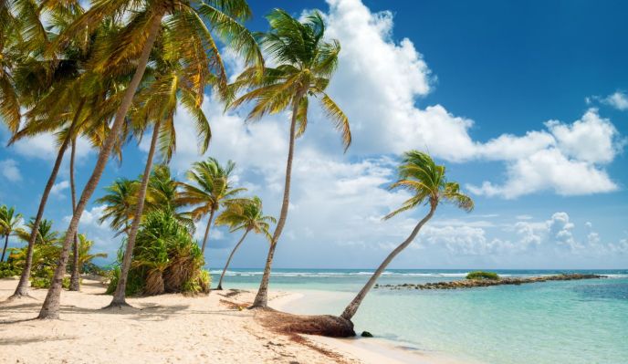 Guadeloupe, jungle, plage et volcan