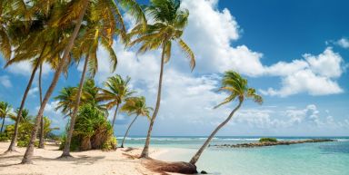 Guadeloupe, jungle, plage et volcan