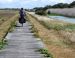 L'île de Ré et l'île d'Oléron à vélo