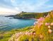 De Saint-Brieuc à La Pointe du Château