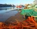 D'Arzon à St Nazaire