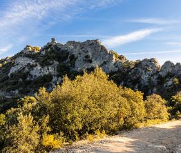 Nouvel An - Aix-en-Provence