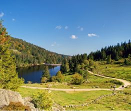 Massif vosgien et plaines d'Alsace