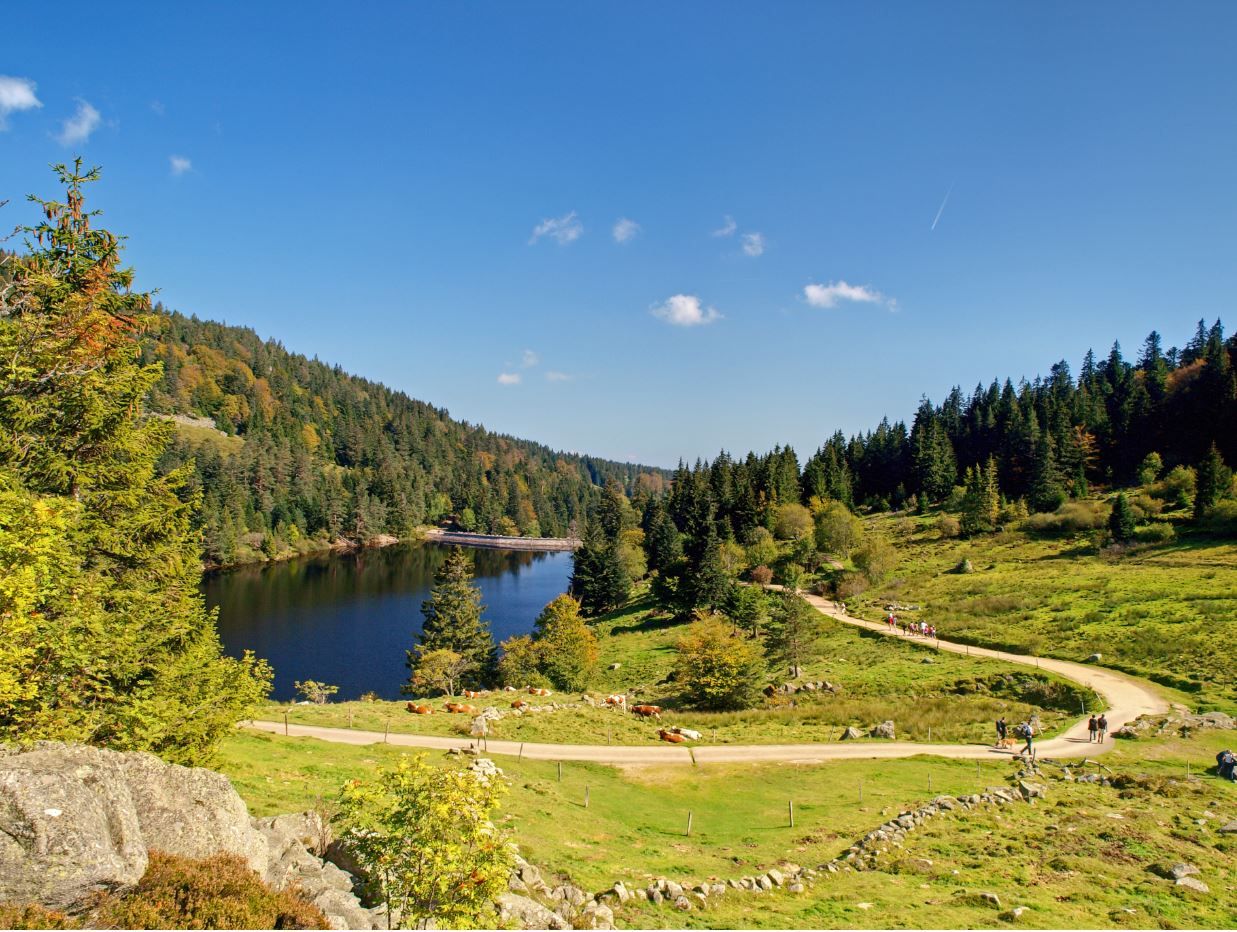 Massif vosgien et plaines d'Alsace