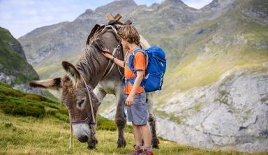 Le Val d'Azun avec un âne