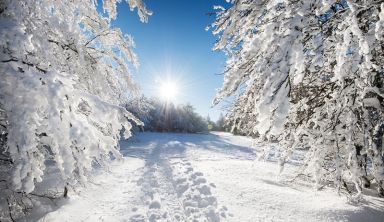 Raquettes au pays du Lac Blanc