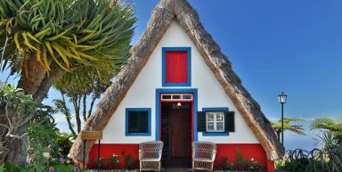 Mad&egrave;re, l'&icirc;le du printemps &eacute;ternel
