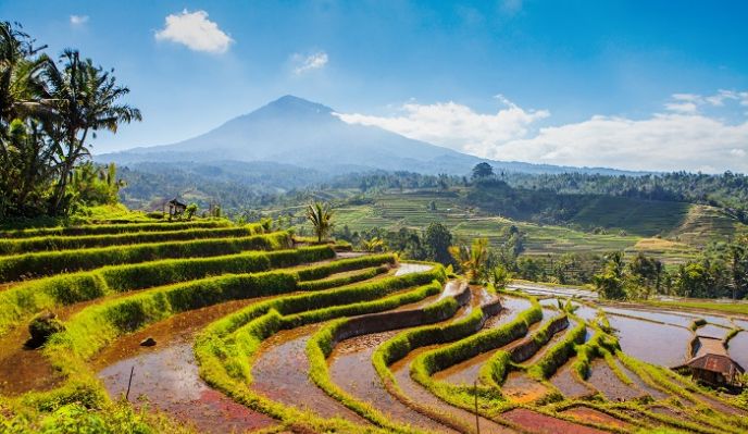 Bali, randonn&eacute;e au c&oelig;ur de l&rsquo;&icirc;le des dieux