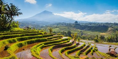 Bali, randonn&eacute;e au c&oelig;ur de l&rsquo;&icirc;le des dieux