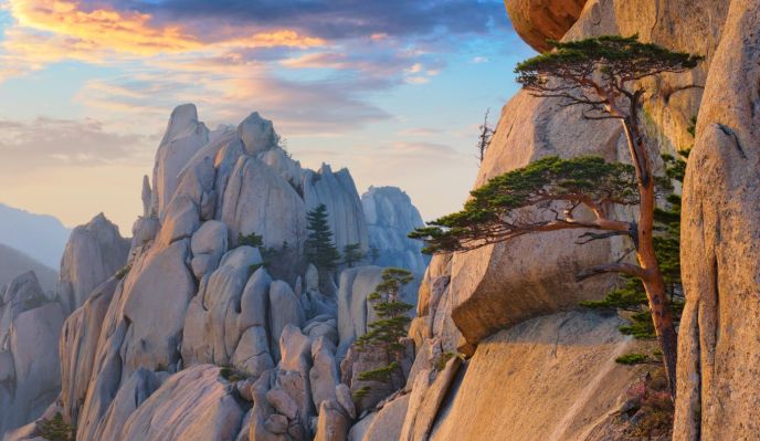 Cor&eacute;e du Sud : entre rizi&egrave;res, pics granitiques et for&ecirc;ts luxuriantes