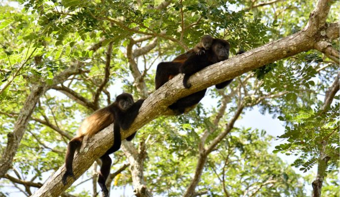Nicaragua &ndash; Volcans, &icirc;les et oc&eacute;an