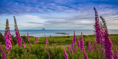 L'&icirc;le d'Arran, joyaux &eacute;cossais