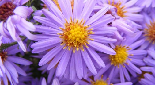 Notre s&eacute;lection pour le printemps 2026