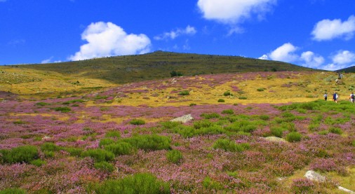 RANDO LANGUEDOC ROUSSILLON