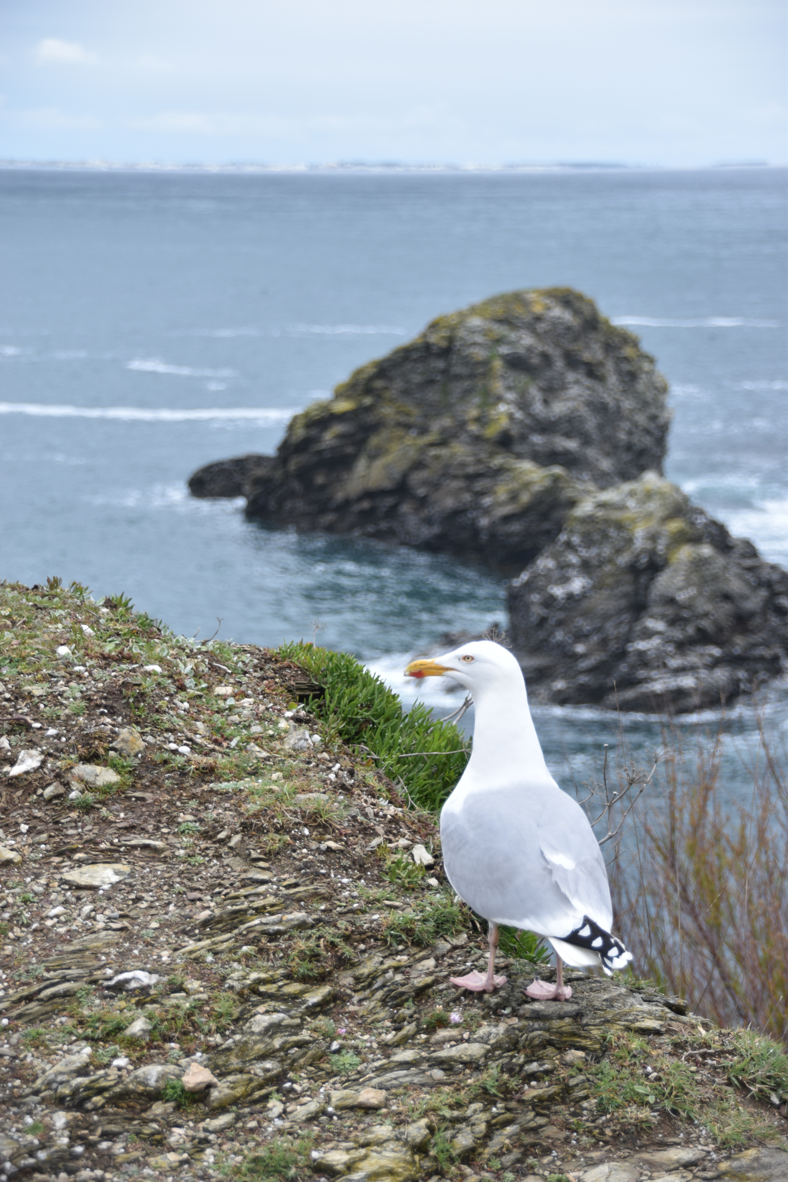 Pointe des Poulains