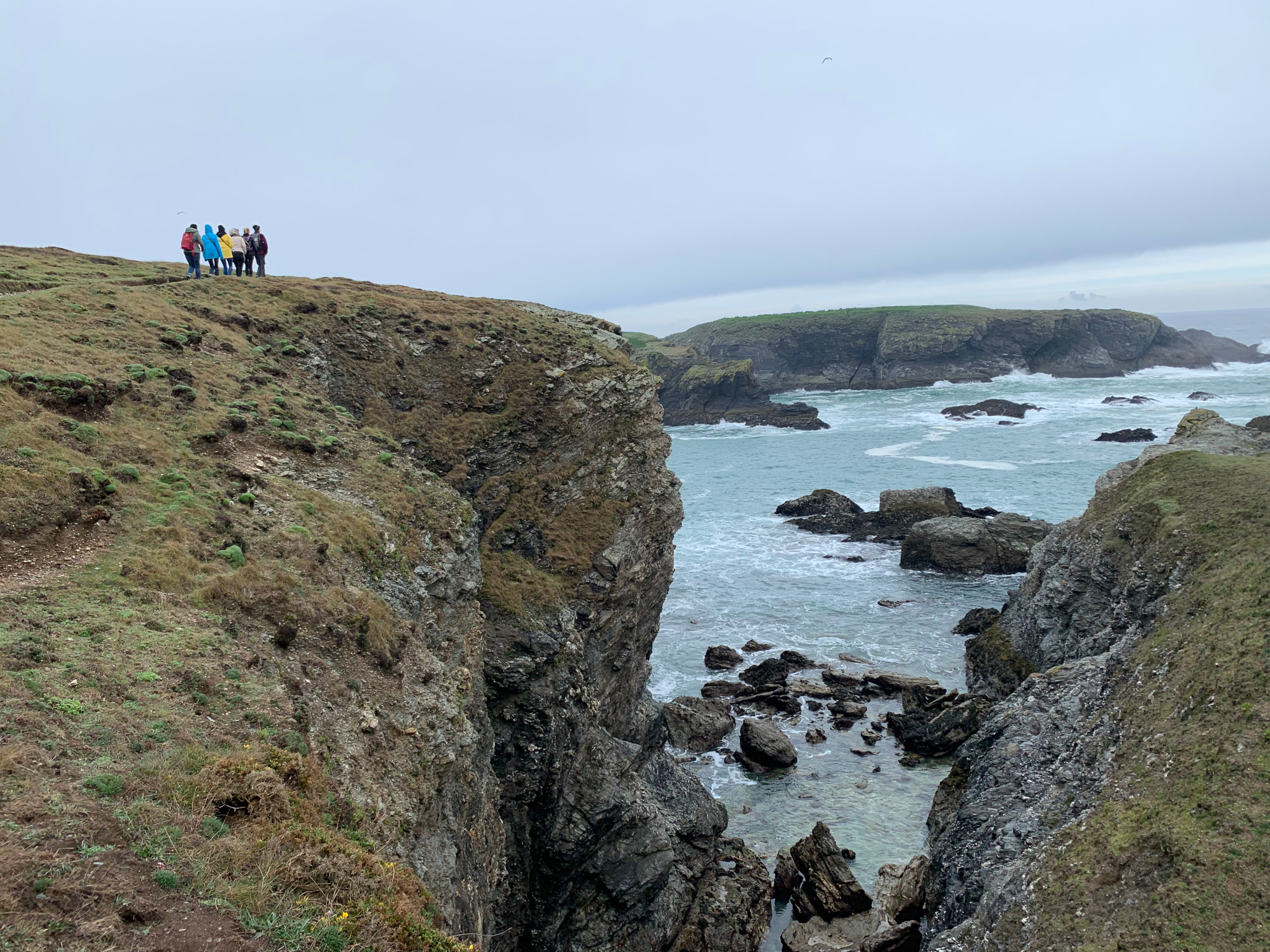 Falaises de la côte sauvage