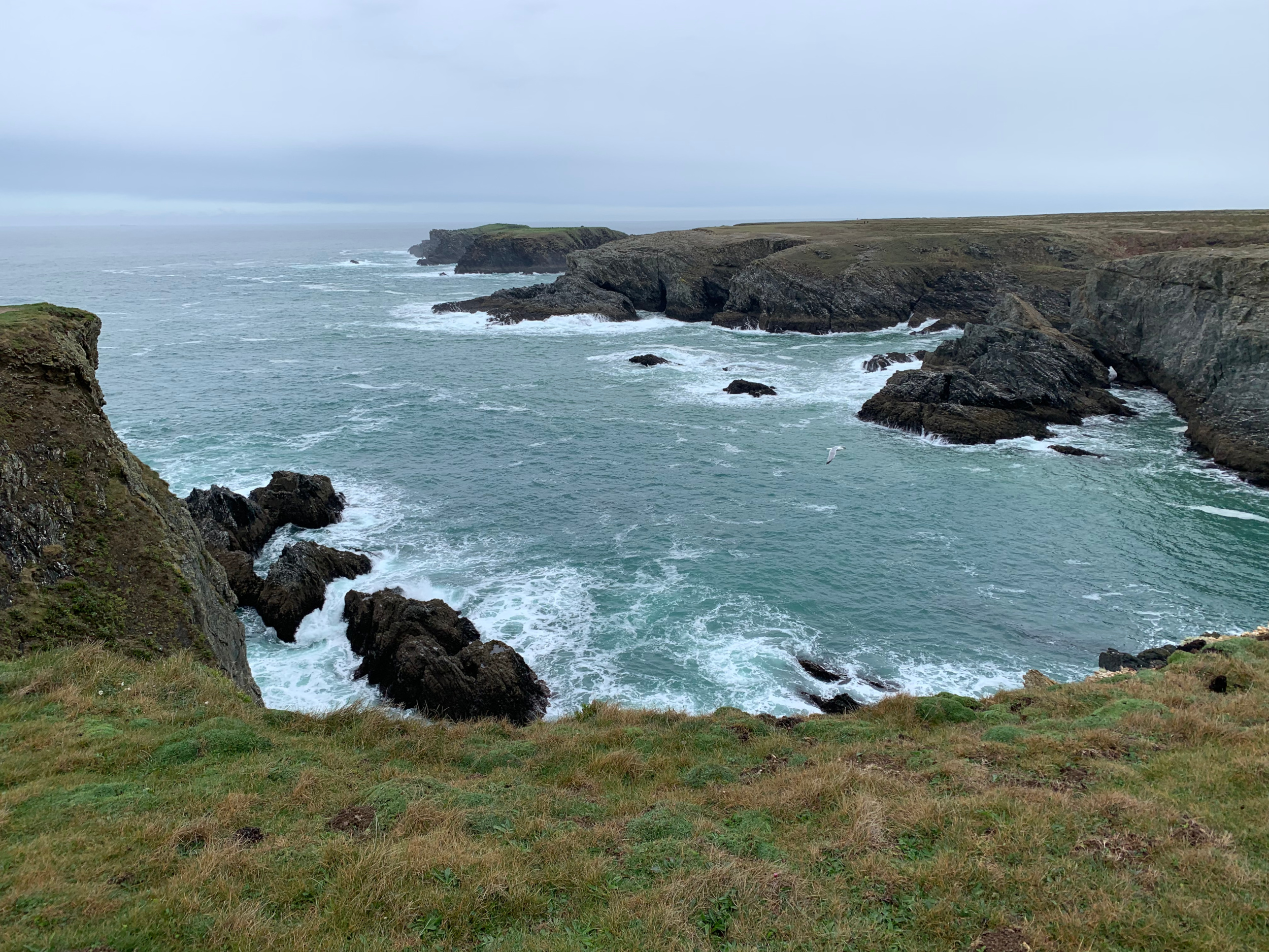 Falaises de la côte sauvage